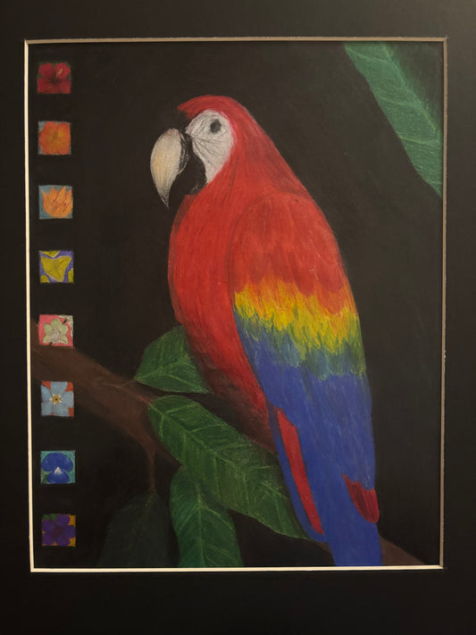 “Florals and Feathers”