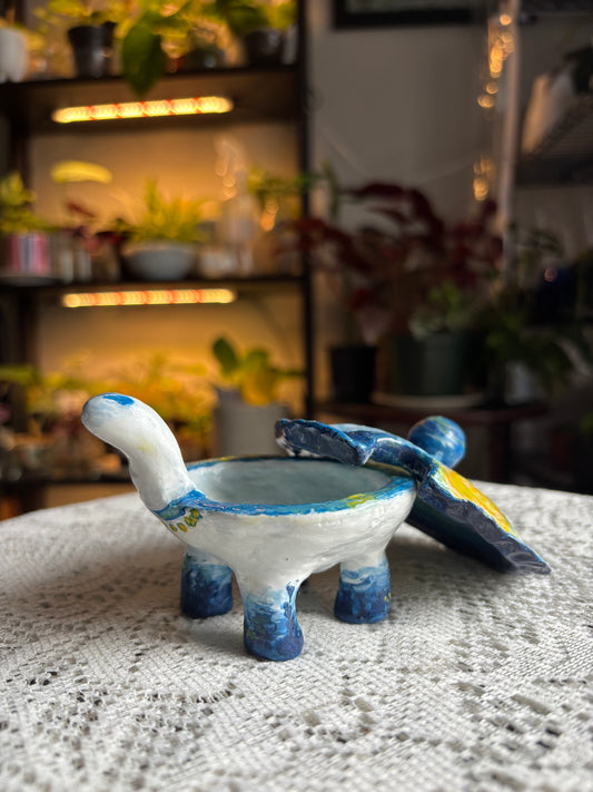 Trinket Turtle: Starry Night